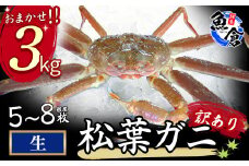 【魚倉】松葉がに 生 おまかせセット 3kg 訳あり 松葉ガニ カニ ズワイガニ カニ爪 冷蔵 かにしゃぶ カニ刺身 ずわいがに わけあり 期間限定 国産 鳥取県 倉吉市