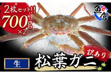 【魚倉】訳あり生松葉ガニ２枚セット 700g以上 松葉ガニ カニ ズワイガニ カニ爪 訳あり わけあり 冷蔵 かにしゃぶ カニ刺身　ずわいがに 鮮度抜群 国産 高級 足欠け 足かけ 鳥取県 倉吉市