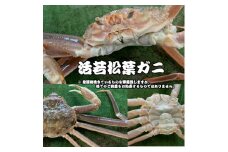【魚倉】生若松葉ガニ 4枚（足１～２本なし含む） 松葉ガニ カニ ズワイガニ 冷蔵 カニ爪 かにしゃぶ カニ刺身 ずわいがに 鮮度抜群 国産 高級 足欠け 足かけ 鳥取県 倉吉市