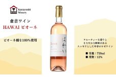倉吉ワイン「はわい」ピオーネ