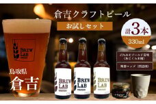 倉吉のビール お試しセット ビール クラフトビール クラフトビア ゴールデンエール ペールエール ipa 地ビール みそ 味噌 国造焼 食器 和食器 カップ 焼き物 鳥取県 倉吉市