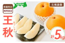 王秋【鳥取県産】5kg（生橋農園） 梨 鳥取 5kg 果物 フルーツ 和梨 先行予約 数量限定 詰め合わせ 今が旬 甘い 人気