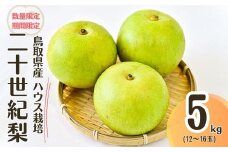 【先行予約・数量限定】ハウス二十世紀梨 5kg【鳥取県産】（生橋農園）梨 鳥取 5kg 果物 フルーツ 和梨 先行予約 数量限定 詰め合わせ 二十世紀梨 20世紀梨 今が旬 人気 甘い