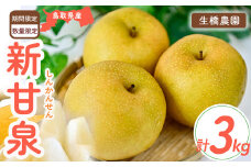 新甘泉【鳥取県産】3kg(生橋農園) 鳥取 梨 3kg 果物 フルーツ 和梨 先行予約 数量限定 新甘泉 詰め合わせ 新品種