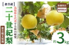 二十世紀梨【倉吉産】3kg（倉吉観光梨園） 鳥取 梨 果物 フルーツ 和梨 先行予約 数量限定 詰め合わせ 二十世紀梨 20世紀梨 甘い 人気
