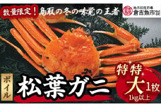 【倉吉魚市】ボイル松葉がに（特特大）1㎏以上  ボイル 松葉ガニ ズワイガニ カニ爪 冷蔵 数量 期間 限定 数量限定 カニ ずわいがに 国産 倉吉市