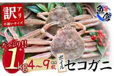 今だけ限定価格！【11月より値上げ】【魚倉】（ボイル）不揃いサイズ 訳ありたっぷり 1kgセット セコガニ （親ガニ、せいこがに） ボイル カニ ズワイガニ 訳あり 冷蔵 カニ爪 わけあり かにしゃぶ カニ刺身 鮮度抜群 国産 高級 足欠け 足かけ 限定価格 限定寄付額 値上対象 鳥取県 倉吉市