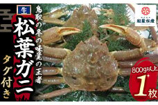 【和星水産】タグ付き 生松葉ガニ 1枚（800g以上） 年明け配送 松葉ガニ カニ ズワイガニ カニ爪 冷蔵 かにしゃぶ カニ刺身 ずわいがに 鮮度抜群 国産 高級 タグ付き 鳥取県 倉吉市