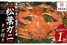 【和星水産】タグ付き ボイル松葉ガニ 1枚（800g以上） 年明け配送 松葉ガニ カニ ズワイガニ カニ爪 ボイル タグ付き 冷蔵 ずわいがに 国産 新鮮 鳥取県 倉吉市