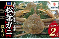 【和星水産】訳あり 生松葉ガニ 2枚（計1.6kg以上） 年明け配送 松葉ガニ カニ ズワイガニ カニ爪 訳あり わけあり 冷蔵 かにしゃぶ カニ刺身 ずわいがに 鮮度抜群 国産 高級 足欠け 足かけ 鳥取県 倉吉市