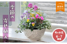 【順次発送】季節の寄せ植え Ｌ （6~7種類）各月限定数量 Le Ciel お花 ギフト 花苗 苗 セット 寄せ植え 鉢植え 花壇