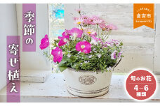 【母の日】季節の寄せ植え Ｍ（4~6種類） 各月限定数量 Le Ciel お花 ギフト 花苗 苗 セット 寄せ植え 鉢植え 花壇