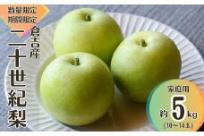 【先行予約】【数量限定】家庭用 二十世紀梨 5kg 令和7年産 鳥取 梨 果物 フルーツ 和梨 先行予約 数量限定 詰め合わせ 二十世紀梨 20世紀梨