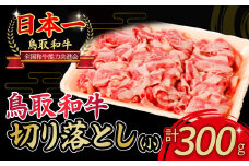 鳥取和牛 切り落とし （小） 黒毛和牛 国産 牛肉 和牛