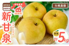 新甘泉【鳥取県産】（家庭用）5kg（生橋農園） 青秀 鳥取 梨 5kg 果物 フルーツ 和梨 先行予約 数量限定 新甘泉 詰め合わせ 新品種
