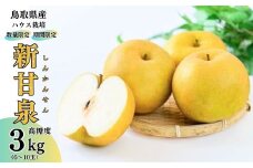 【先行予約】【数量限定】ハウス新甘泉 鳥取県産 3kg（生橋農園） 梨 鳥取 梨 3kg 果物 フルーツ 和梨 先行予約 数量限定 詰め合わせ 新甘泉