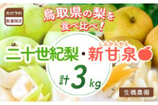 新甘泉と二十世紀梨の食べ比べセット 3kg【鳥取県産】（生橋農園） 鳥取 梨 3kg 果物 フルーツ 和梨 先行予約 数量限定 詰め合わせ 新甘泉 二十世紀梨 20世紀梨
