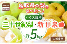 【先行予約・数量限定】ハウス新甘泉とハウス二十世紀梨 セット 5kg 【鳥取県産】（生橋農園）梨 鳥取 5kg 果物 フルーツ 和梨 先行予約 数量限定 詰め合わせ 二十世紀梨 新甘泉 セット 食べ比べ 20世紀梨 お得 人気