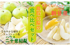 【先行予約・数量限定】ハウス新甘泉とハウス二十世紀梨 セット 3kg 【鳥取県産】（生橋農園） 梨 鳥取 梨 3kg 果物 フルーツ 和梨 先行予約 数量限定 詰め合わせ 二十世紀梨 新甘泉 セット 食べ比べ 20世紀梨