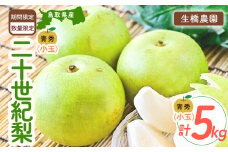 二十世紀梨 5kg（小玉）【鳥取県産】（生橋農園） 梨 ナシ なし ブランド梨 青秀 梨 鳥取 5kg 果物 フルーツ 和梨 先行予約 数量限定 詰め合わせ 二十世紀梨 20世紀梨
