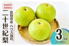 【先行予約・数量限定】ハウス二十世紀梨 3kg【鳥取県産】（生橋農園）梨 鳥取 3kg 果物 フルーツ 和梨 先行予約 数量限定 詰め合わせ 二十世紀梨 20世紀梨 人気 甘い