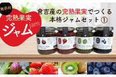 倉吉産の完熟果実でつくる本格ジャムセット① ジャム ジャム詰め合わせ 国産 無添加 セット ブルーベリージャム いちごジャム 無添加ジャム 鳥取県 倉吉市