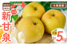 新甘泉【鳥取県産】（小玉）5kg（生橋農園） 鳥取 梨 5kg 果物 フルーツ 和梨 先行予約 数量限定 新甘泉 詰め合わせ 新品種