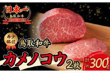 鳥取和牛 希少部位ステーキ「カメノコウ」約300g 国産 牛肉 和牛 黒毛和牛 希少 ステーキ 肉 希少部位 最高級部位 カメノコウ 冷凍 国産牛 ブランド牛 鳥取県 倉吉市