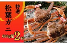 【2025年２月・３月発送】 特撰 松葉がに 【タグ付き】 600g超の大きいサイズ 食べ応えあり 2杯 活物 松葉ガニ カニ ズワイガニ カニ爪 冷蔵 かにしゃぶ カニ刺身