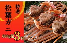【2025年２月・３月発送】 特撰 松葉がに 【タグ付き】 600g超の大きいサイズ 食べ応えあり 3杯 活物 松葉ガニ カニ ズワイガニ カニ爪 冷蔵 かにしゃぶ カニ刺身