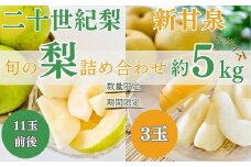 【先行予約】【数量限定】「ス梨・果ラット ダイヤ」 二十世紀梨 新甘泉 セット（5kg）【倉吉産】令和7年産 梨 鳥取 梨 5kg 果物 フルーツ 和梨 先行予約 数量限定 詰め合わせ 二十世紀梨 新甘泉 20世紀梨 セット 食べ比べ