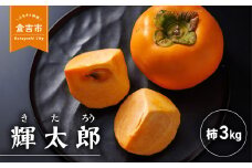 早生甘柿 輝太郎（きたろう） 3kg 柿 果物 フルーツ 期間限定 数量限定 高糖度 大玉 早生 甘カキ 甘柿 新品種 ポリフェノール タンニン 鳥取県 倉吉市