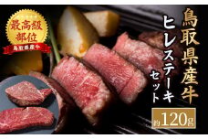 【特別規格品】 鳥取県産牛 最高級部位 ヒレ ステーキ セット 約120g 牛肉 ヒレ ヒレ肉 ヒレステーキ 国産牛 ステーキ 肉 フィレ 国産 BBQ 鳥取県 倉吉市