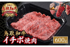 毎月限定10個！ 鳥取和牛 イチボ （600g） 牛肉 希少 イチボ 焼肉 焼き肉 冷凍 国産牛 和牛 黒毛和牛 鳥取県 倉吉市 KR1251