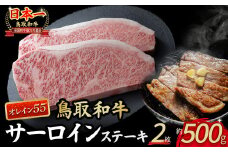 鳥取和牛 オレイン55 サーロインステーキ 2枚 （ 500g ） 国産 牛肉 和牛 黒毛和牛 サーロイン ステーキ サーロインステーキ 高級 希少 鳥取県 倉吉市 KR1288