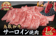 鳥取和牛 サーロイン 焼肉用 1.2kg ( 600g × 2 ) 国産 牛肉 和牛 サーロイン 焼肉 黒毛和牛 焼き肉 肉 ブランド牛 小分け 鳥取県 倉吉市 KR1334