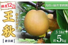 王秋 5kg【倉吉産】 福井果樹園 梨 なし ナシ おうしゅう 王秋 ブランド梨 鳥取 5kg 果物 フルーツ 和梨 先行予約 数量限定 詰め合わせ 人気 甘い 鳥取県 倉吉市