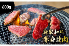 鳥取和牛 赤身焼肉 600g 国産 牛肉 赤身 和牛 黒毛和牛 ブランド牛 焼肉 焼き肉 肉 鳥取県 倉吉市 KR1447