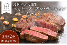 【定期便3回】 鳥取いなば万葉牛 シャトーブリアン・サーロインステーキセット 300g × 3回 鳥取和牛 ブランド牛 いなば万葉牛 国産 牛肉 和牛 黒毛和牛 ヒレ サーロイン シャトーブリアン ステーキ 定期便 鳥取県 倉吉市
