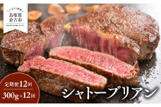 【定期便12回】 シャトーブリアン 300g × 12回 鳥取和牛 ブランド牛 国産 牛肉 和牛 黒毛和牛 ヒレ ステーキ 定期便 鳥取県 倉吉市