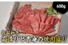 鳥取和牛 霜降りと赤身の焼肉盛り 600g 国産 牛肉 焼肉 赤身 霜降り ロース モモ バラ バーベキュー 和牛 黒毛和牛 ブランド牛 鳥取県 倉吉市 KR164