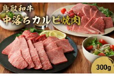 鳥取和牛 中落ちカルビ焼肉 300g 国産 ブランド牛 牛肉 焼き肉 焼肉 和牛 黒毛和牛 肉 カルビ バラ BBQ 冷凍 鳥取県 倉吉市 KR477
