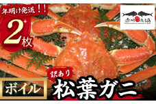 【赤碕町漁業協同組合】 『 訳あり 』松葉ガニ（ボイル） 年明け発送 着日指定不可 松葉ガニ カニ ズワイガニ カニ爪 冷蔵 かにしゃぶ カニ刺身 ずわいがに 鮮度抜群 国産 高級 鳥取県 倉吉市 ボイル