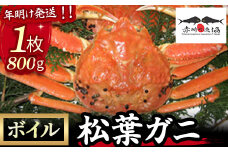 【赤碕町漁業協同組合】 松葉ガニ（ボイル）1枚800g 年明け発送 着日指定不可 松葉ガニ カニ ズワイガニ カニ爪 冷蔵 かにしゃぶ カニ刺身 ずわいがに 鮮度抜群 国産 高級 鳥取県 倉吉市 ボイル