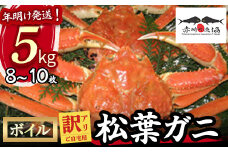 【赤碕町漁業協同組合】 『 訳あり ご自宅用 』 松葉ガニ （ ボイル ） 5kg 年明け発送 着日指定不可 松葉ガニ カニ ズワイガニ カニ爪 冷蔵 かにしゃぶ カニ刺身 ずわいがに 鮮度抜群 国産 高級 鳥取県 倉吉市 ボイル