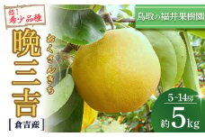 【希少梨】 晩三吉 5kg（5～12玉） 倉吉産 福井果樹園 おくさんきち 梨 なし ナシ ブランド梨 冬梨 希少品種 果物 フルーツ 和梨 数量限定