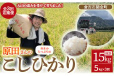 【 定期便 】原田さんのこしひかり ( 5kg × 3回 ) 数量限定 精米 お米 米 こめ コメ 白米 こしひかり コシヒカリ ブランド米 ごはん ゴハン ご飯 鳥取県 倉吉市