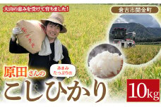 【期間・在庫限定】原田さんのこしひかり 10kg 数量限定 精米 お米 米 こめ コメ 白米 こしひかり コシヒカリ ブランド米 ごはん ゴハン ご飯 鳥取県 倉吉市