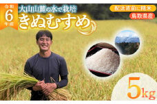 数量限定 令和6年産 きぬむすめ 5kg 令和6年産米 精米 お米 米 こめ コメ 白米 ごはん ご飯 ゴハン ブランド米 鳥取県 倉吉市