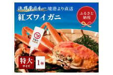 【蟹セレブ】ズワイガニ（紅ズワイガニ）特大1杯（600～700g×1） 冷蔵 カニ ボイル 紅ズワイガニ 新鮮 ズワイガニ ずわいがに 期間限定 国産 鳥取県 倉吉市